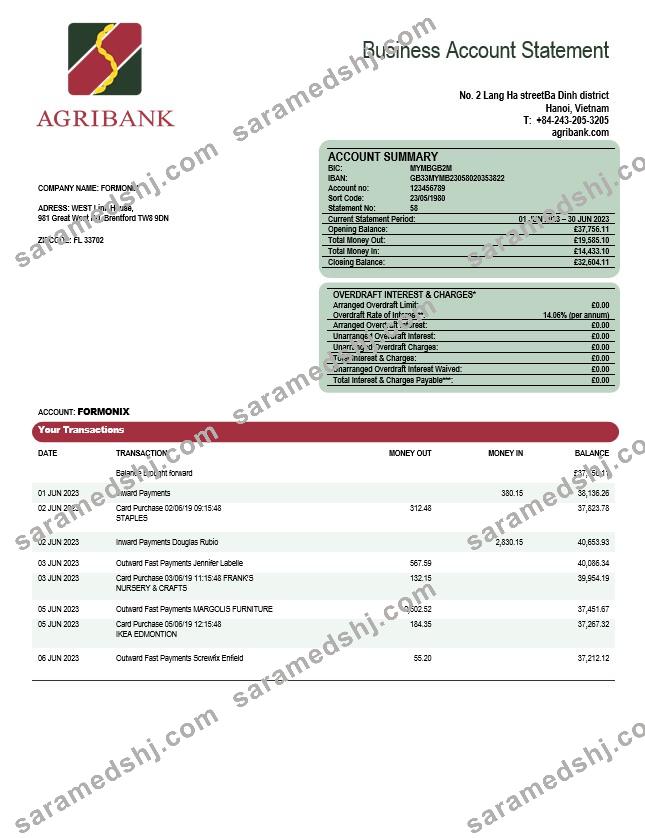 Agribank company statement Word and PDF template